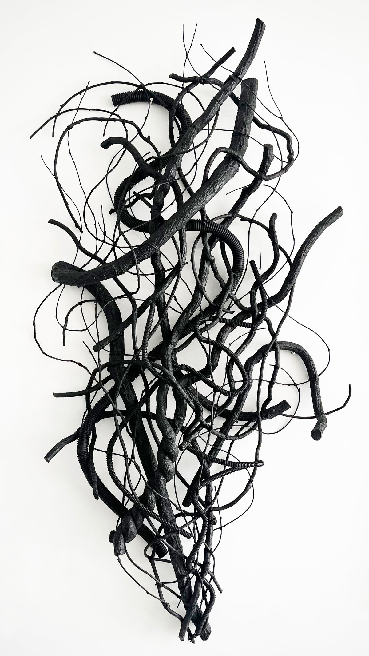 Jay Sylvester | Blackbirds, Backwards