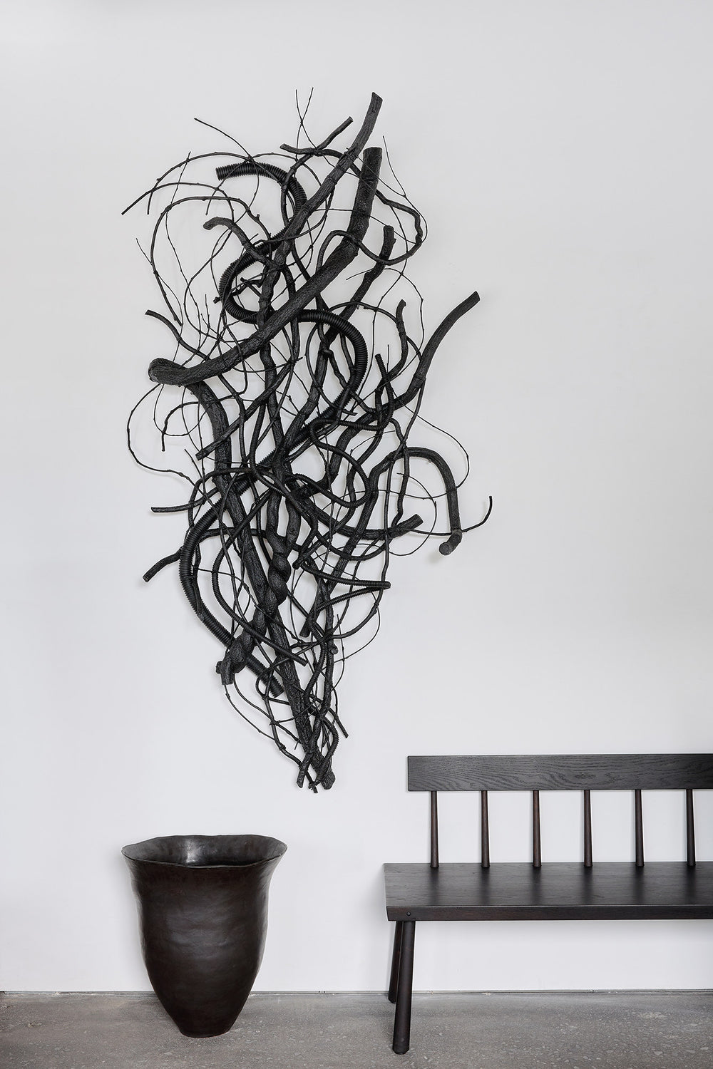 Jay Sylvester | Blackbirds, Backwards