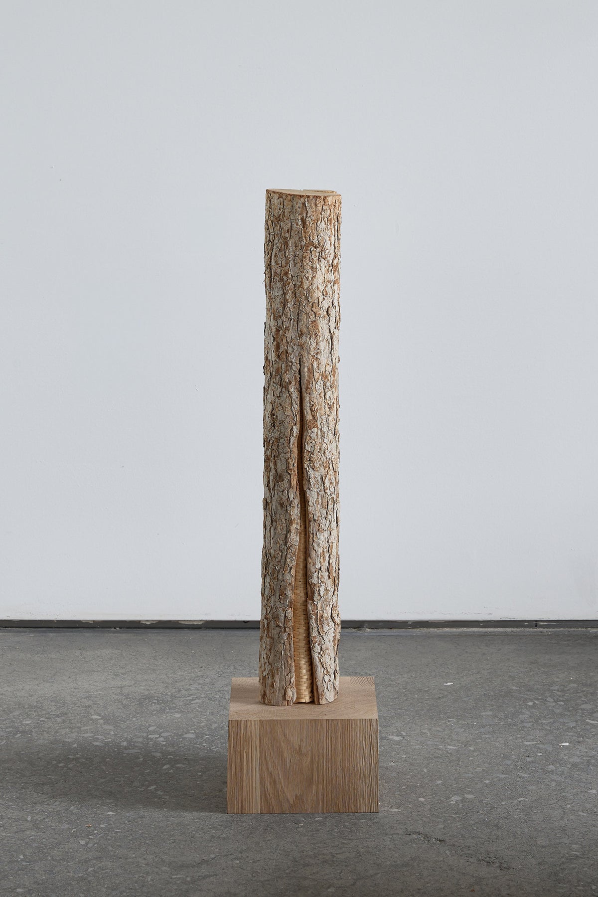 Katie Grove| Rift/Repair