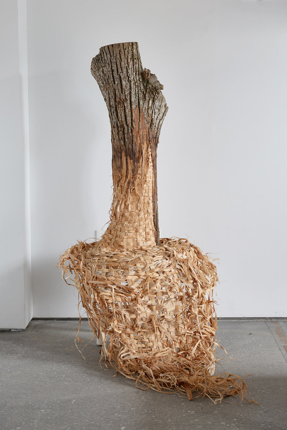 Katie Grove| Untitled