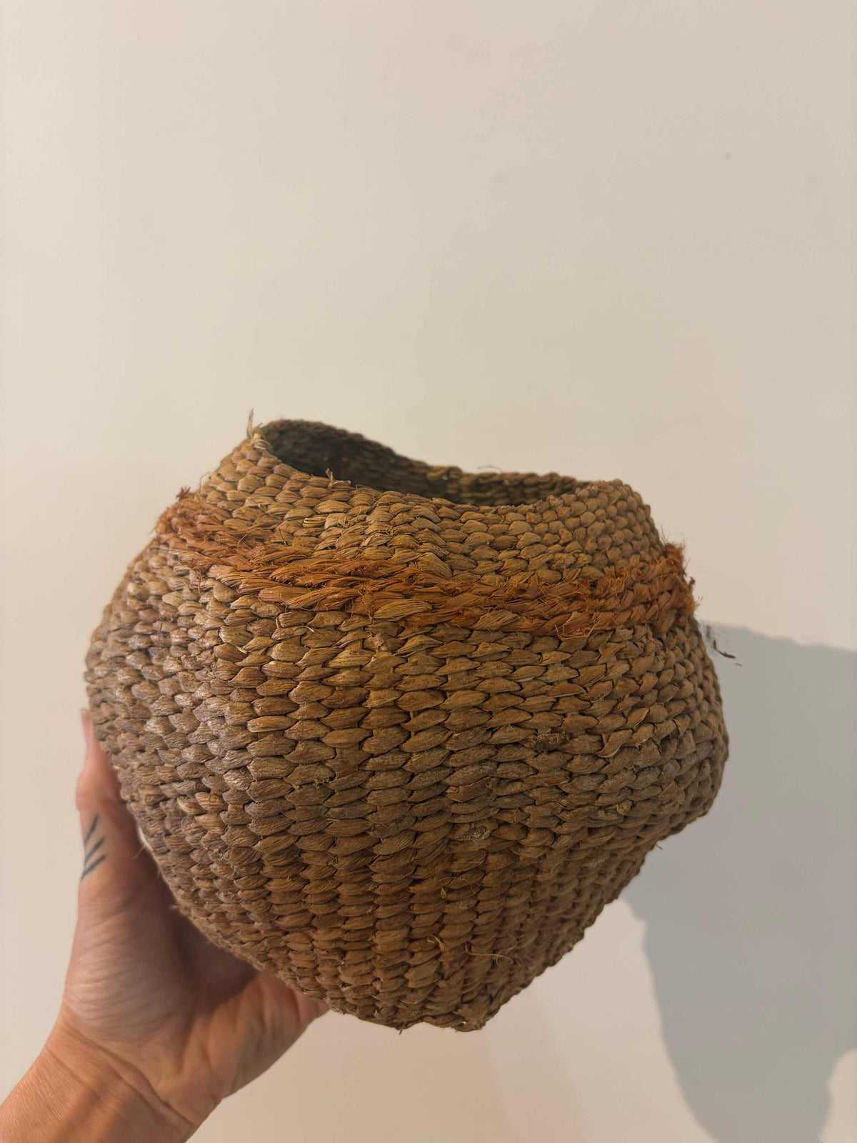 Katie Grove | Basket