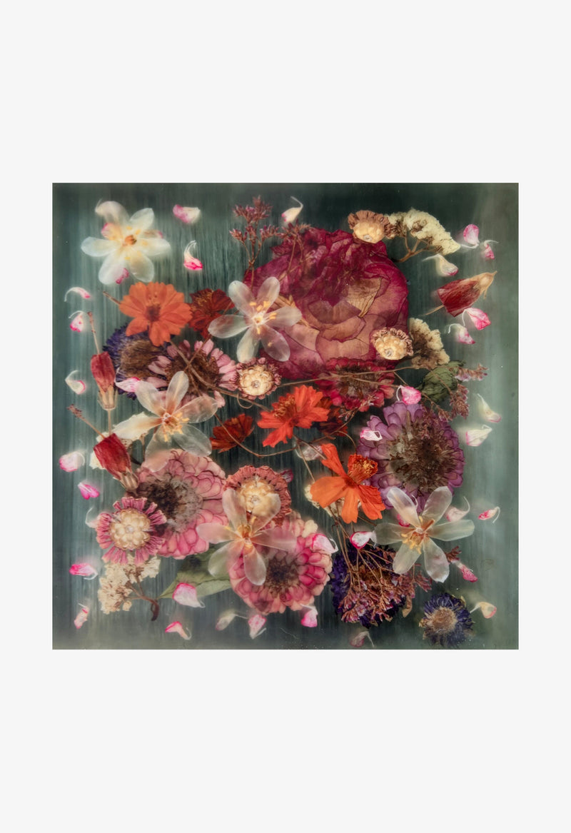 Ann Swingler No.1 Garden Pink