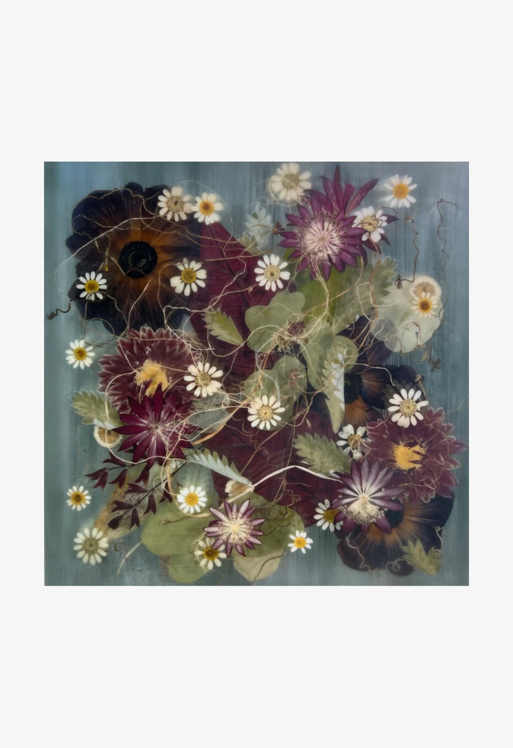 Ann Swingler No. 10 Violet for December Tenth