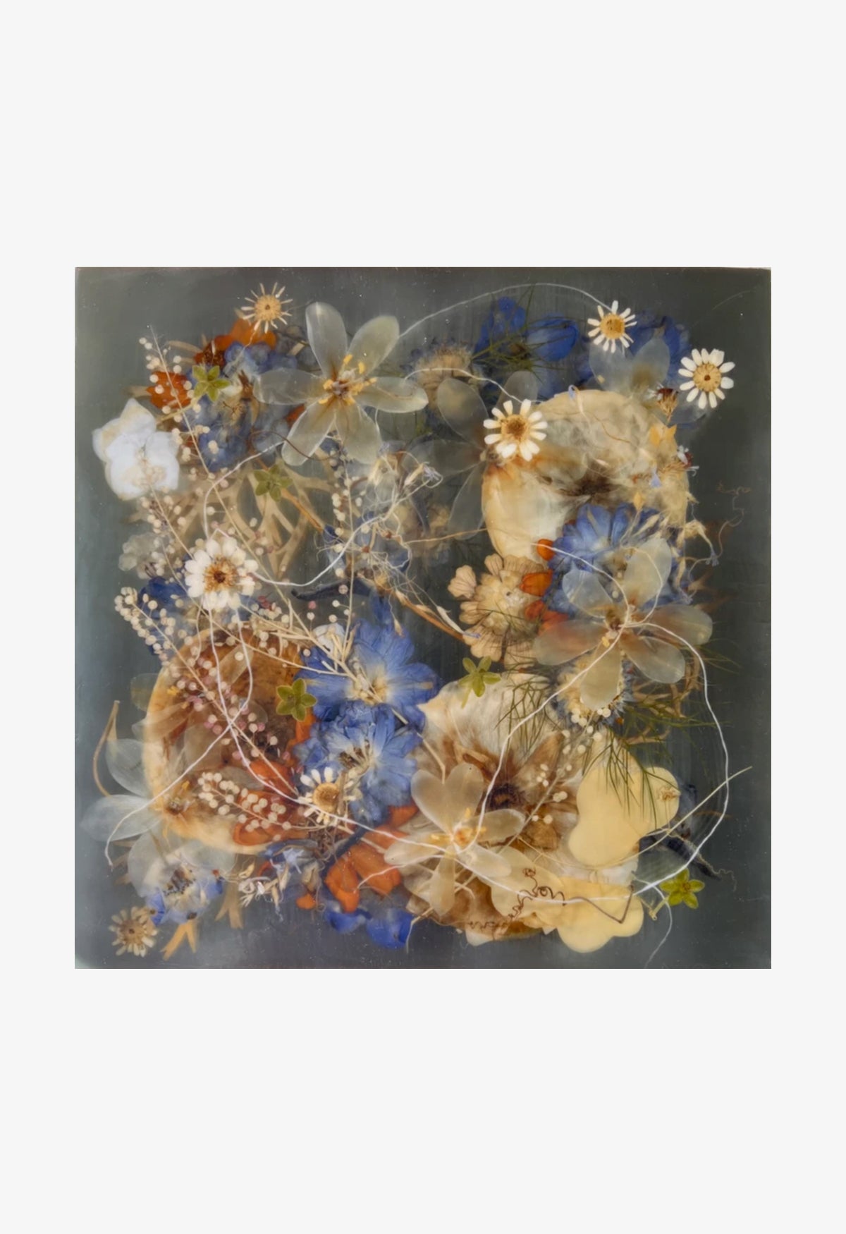 Ann Swingler No.13 Backyard Blue II