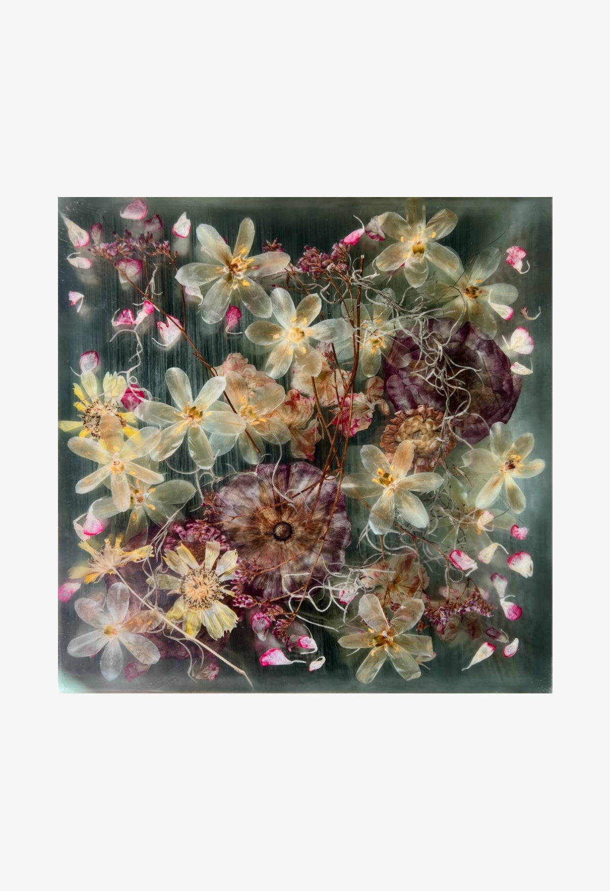 Ann Swingler No.2 Tattered Yellow
