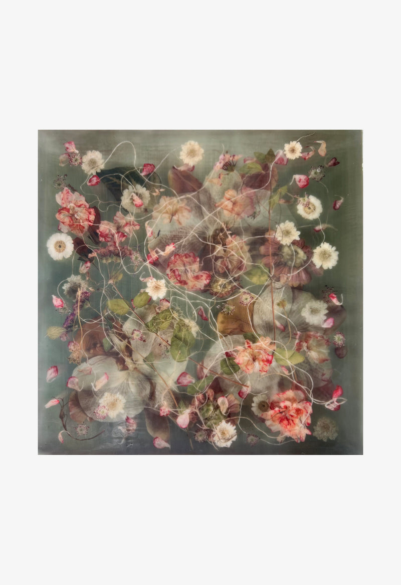 Ann Swingler No.4 Renaissance Pink