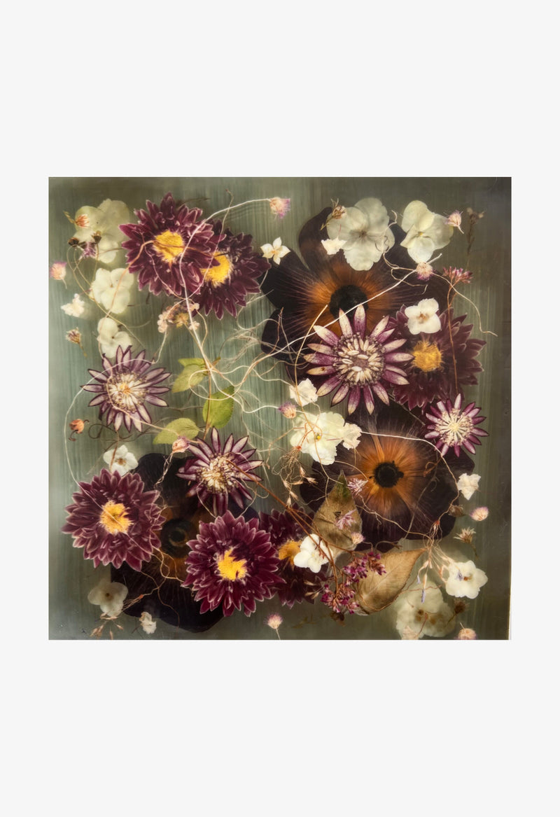 Ann Swingler No.7 Deep Violet