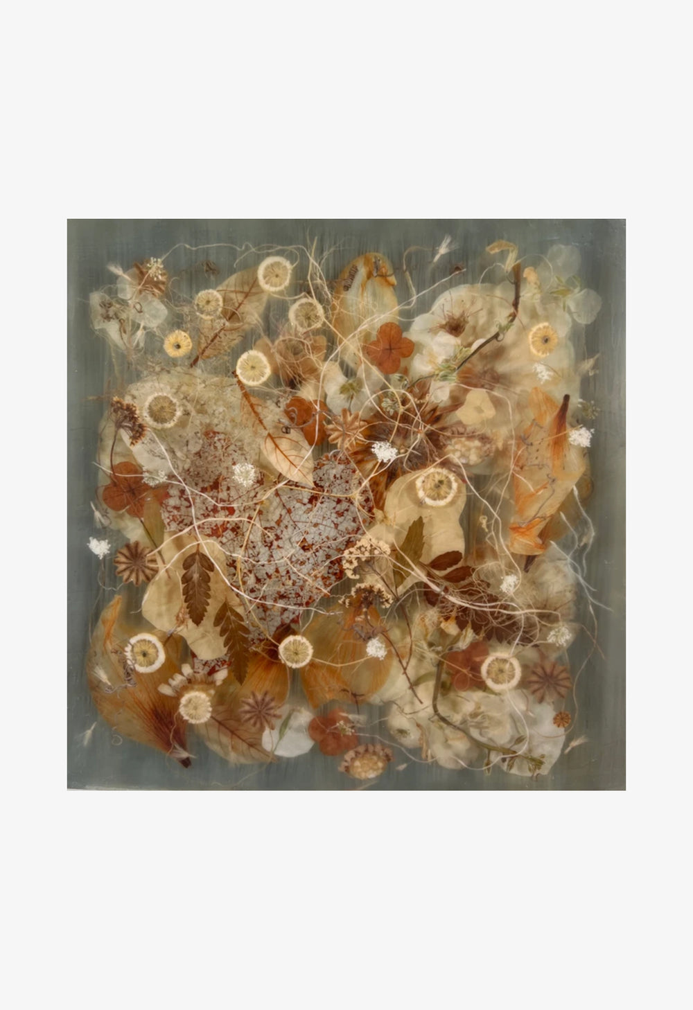 Ann Swingler No.8 Oak Lilly Brown