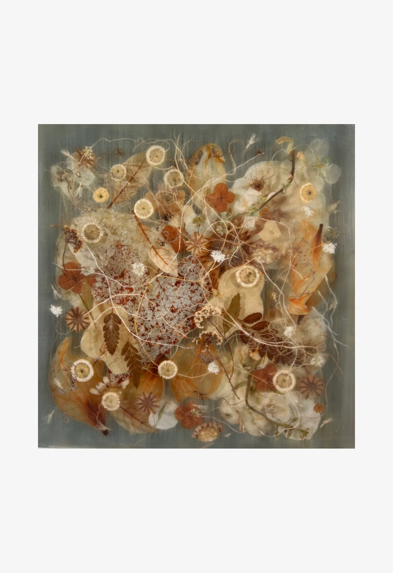 Ann Swingler No.8 Oak Lilly Brown