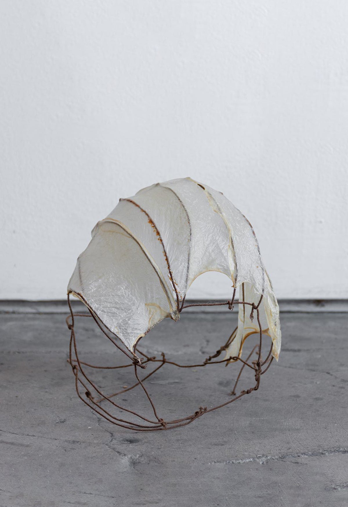 Kat Howard Husk
