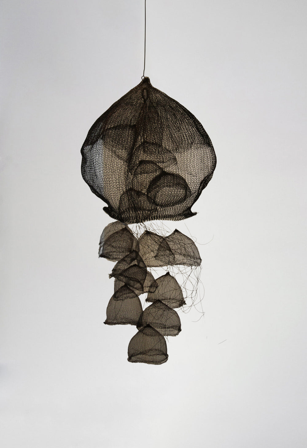 Nettie Sumner Unraveling of Nature
