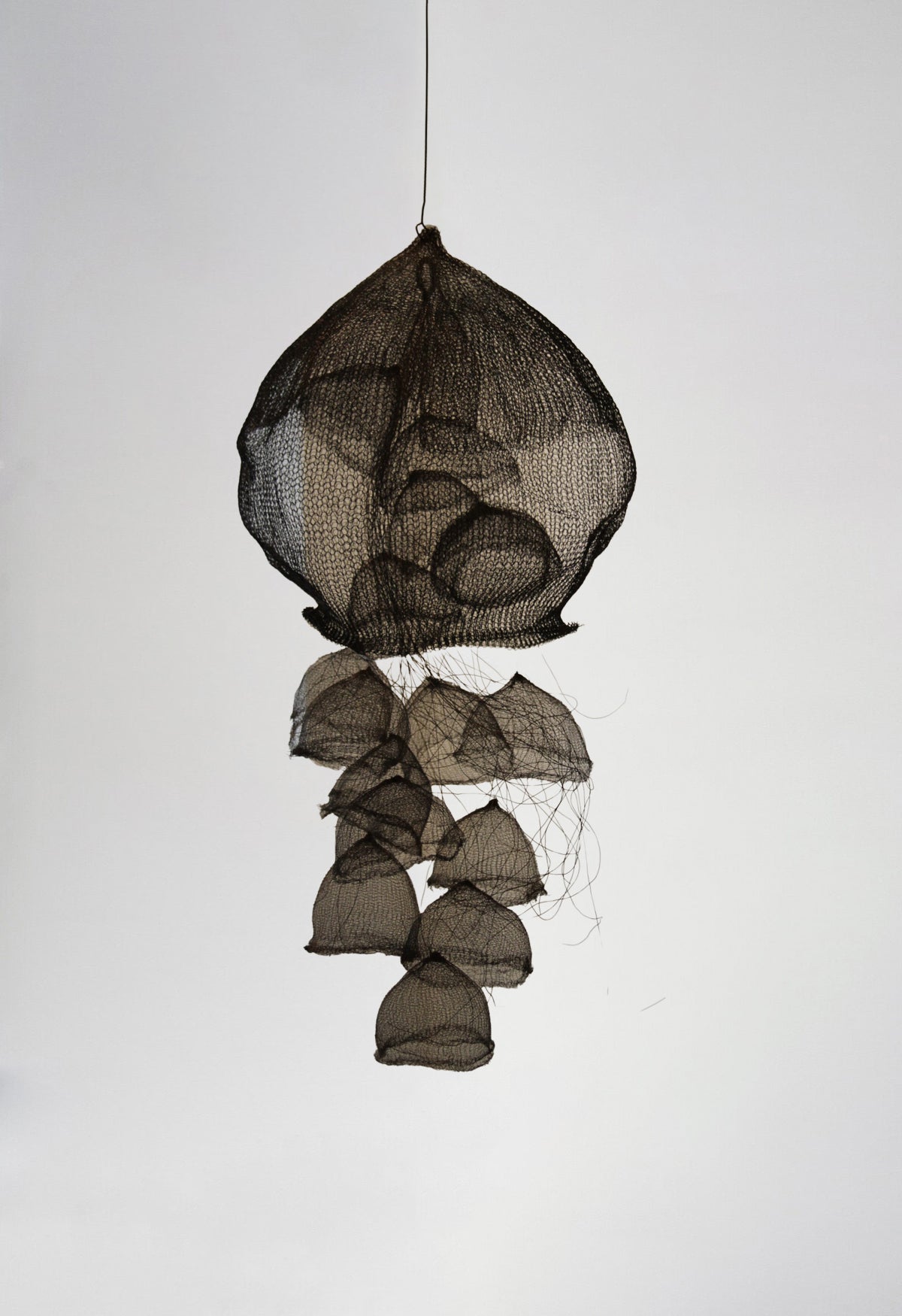 Nettie Sumner Unraveling of Nature